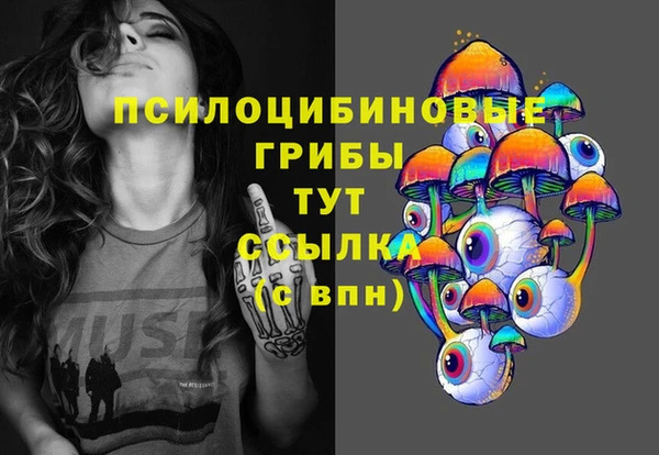 хмурый Заводоуковск