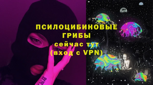 хмурый Заводоуковск