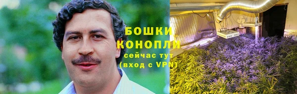 хмурый Заводоуковск