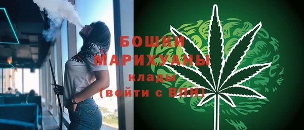 гидра Заволжск